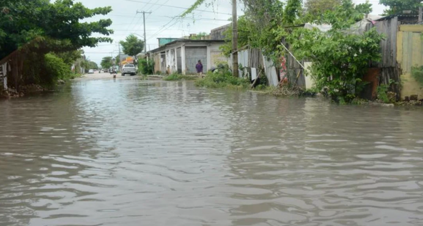 Estados Unidos: el hurac&aacute;n Debby golpe&oacute; Florida y al menos una persona muri&oacute;