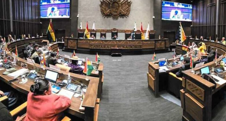 Bolivia suprime por ley las elecciones primarias