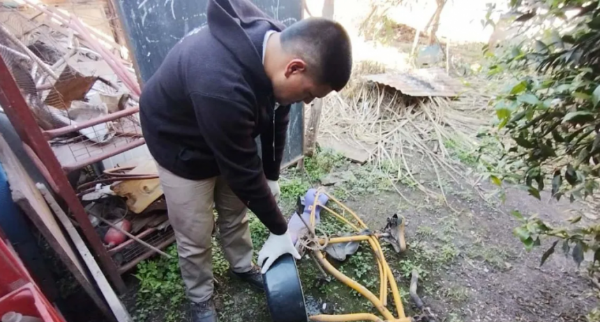 Dengue: "Es el momento de trabajar en los criaderos de mosquitos"