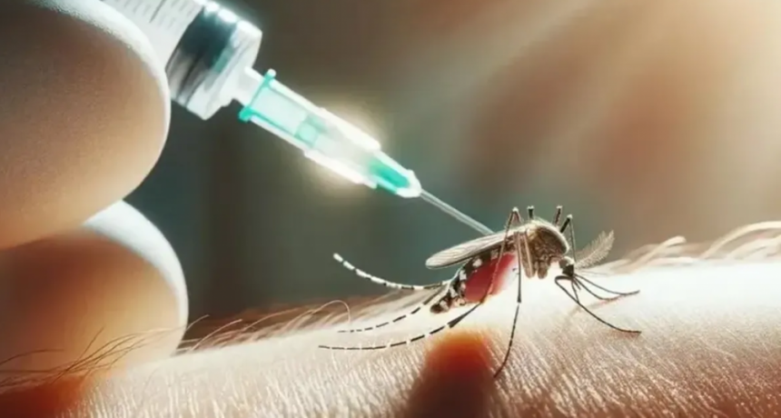 Confirman el primer caso de dengue en Buenos Aires